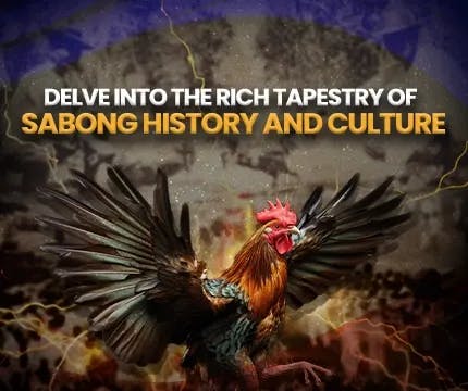 Online Sabong History & Culture